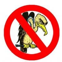 vultures.jpg