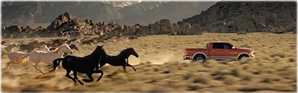 ram-running-with-horses.jpg