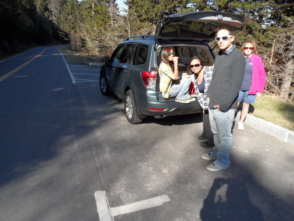 SUBARU_picnic.JPG