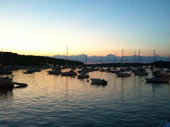 harbor.jpg