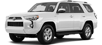 204runner.jpg