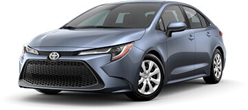 carolla21LE.jpg