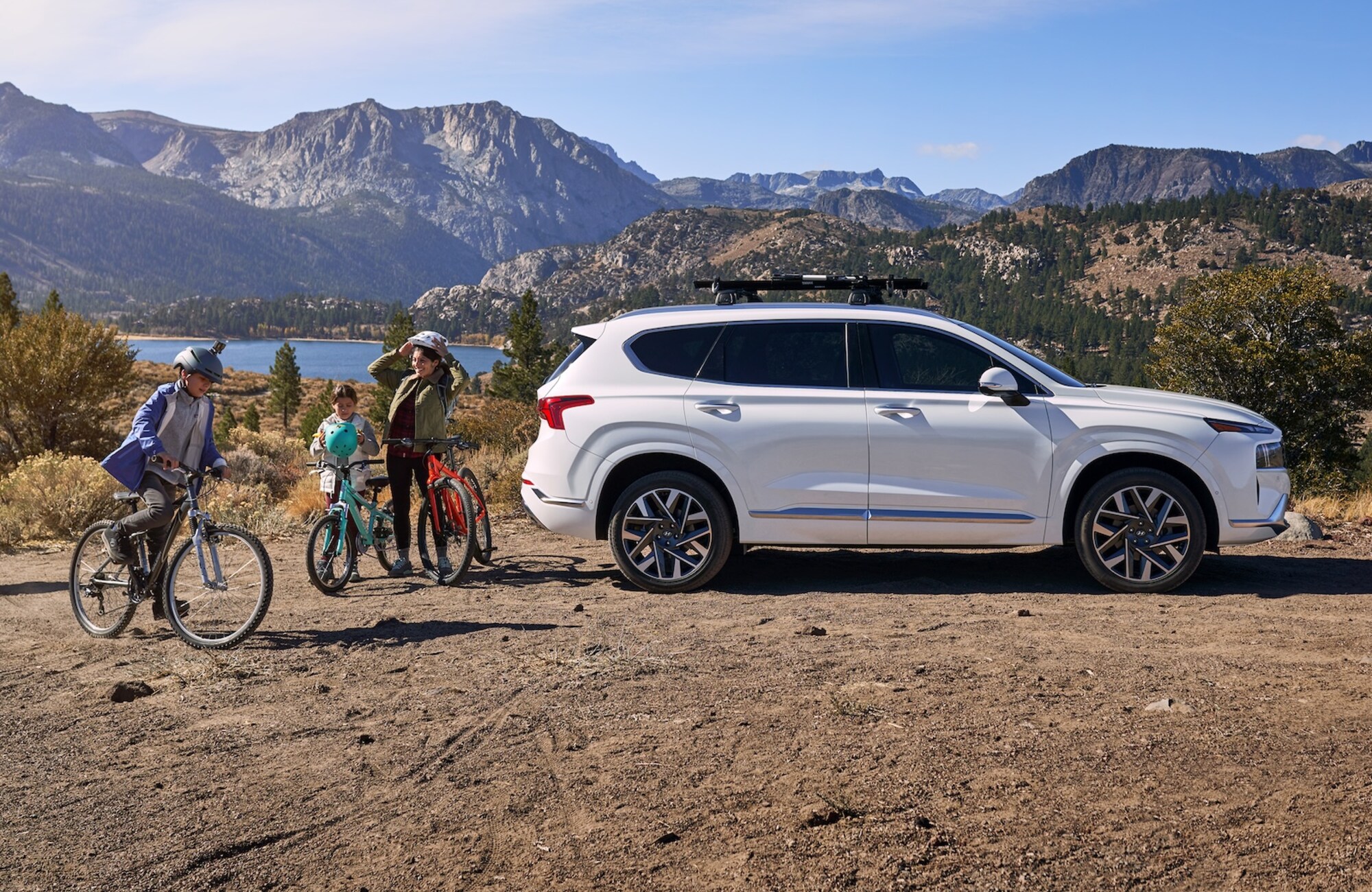 Triton Protect Drive and Drive 360+