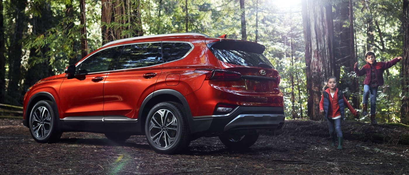 Red 2020 Hyundai Santa Fe in forest