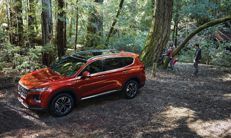 2020 Hyundai Santa Fe in woods