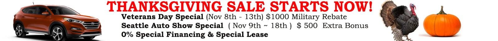 Banner Ad - Veteran's Day Special.jpg