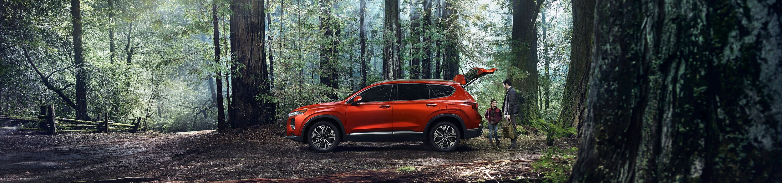 2019-Hyundai-Santa-Fe-Limited-SUV-L01.jpeg