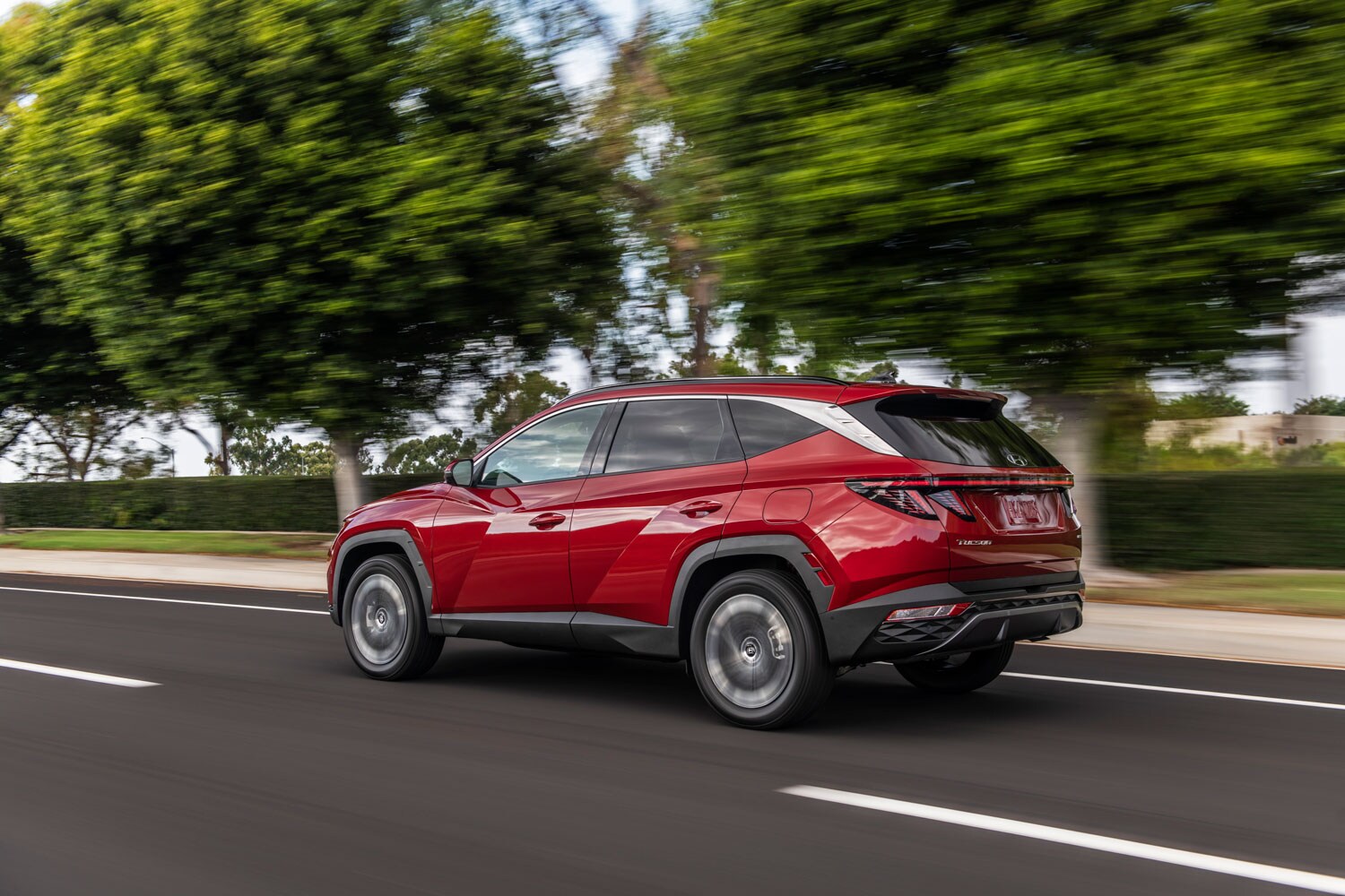 2023 Hyundai Tucson back 2023 Hyundai Tucson back