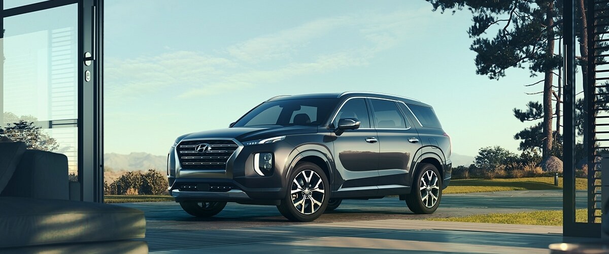 Hyundai Palisade in Rockford