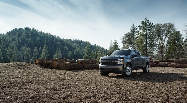 New 2020 Chevy Silverado 1500 Canton TX
