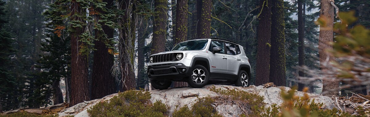 Used Jeep Renegade Canton TX