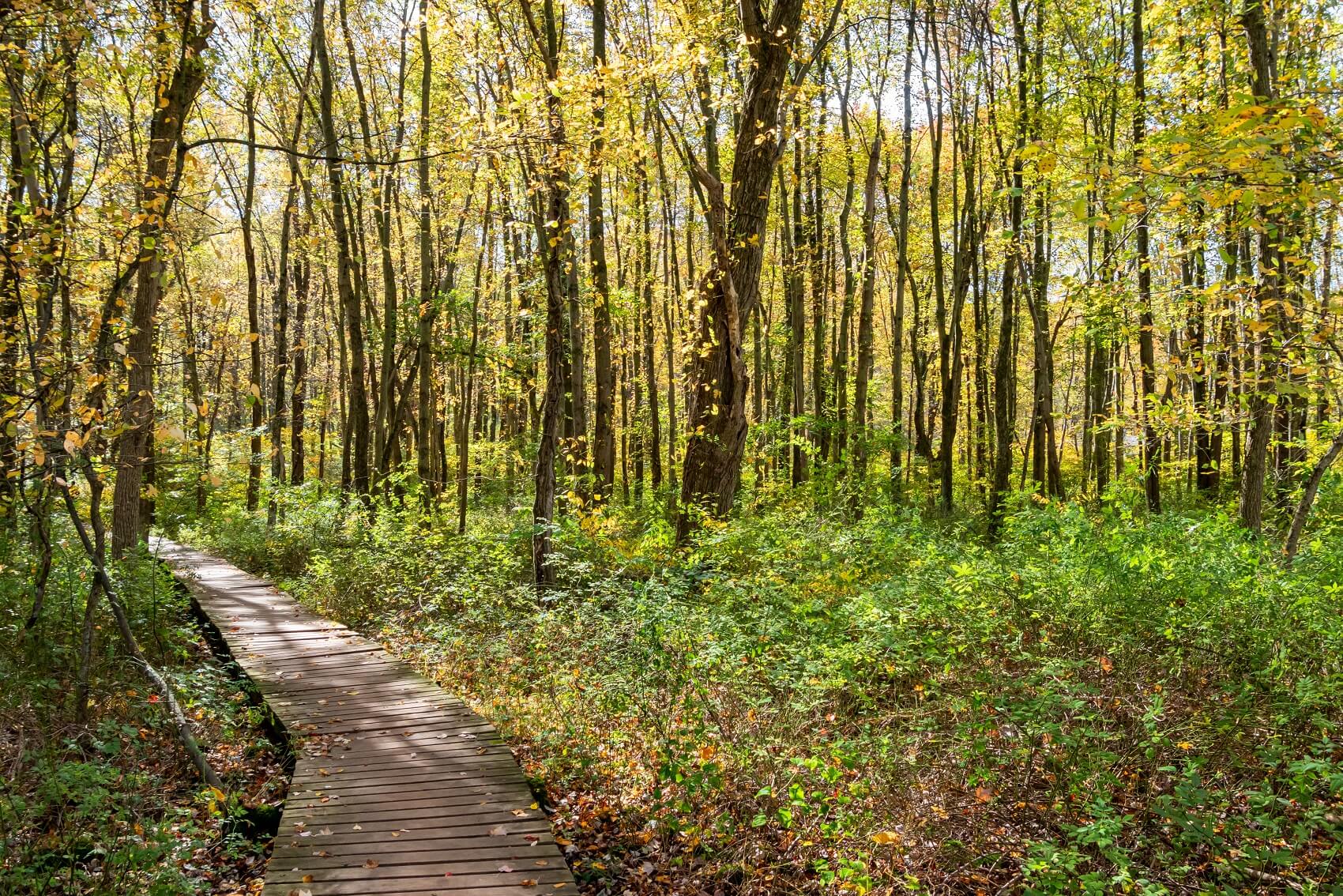 Places to Go near Newark DE