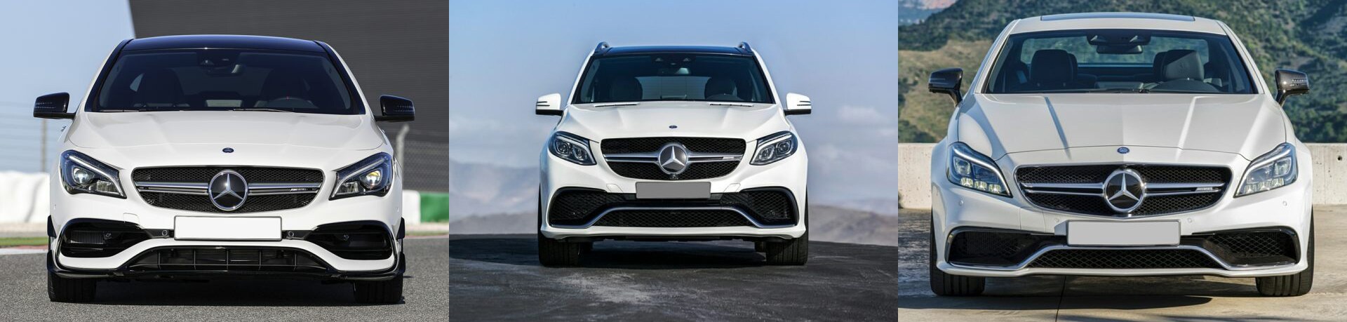 AMG Pano copy.jpg