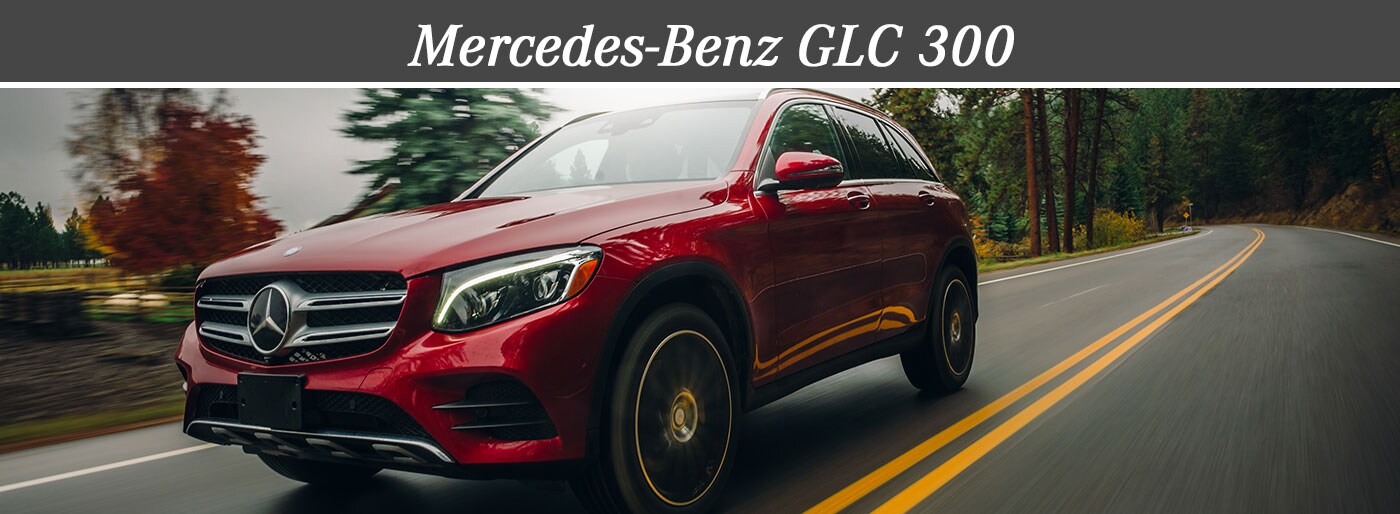 GLC-SEO.jpg