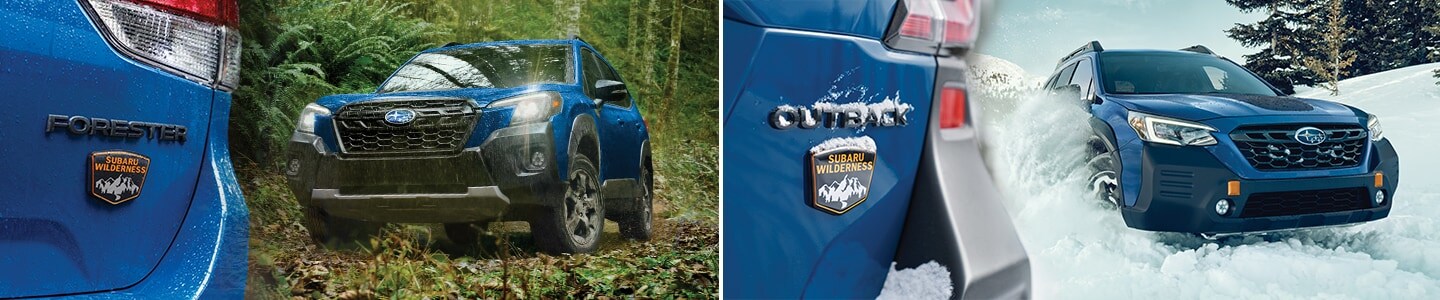 Subaru Wilderness models