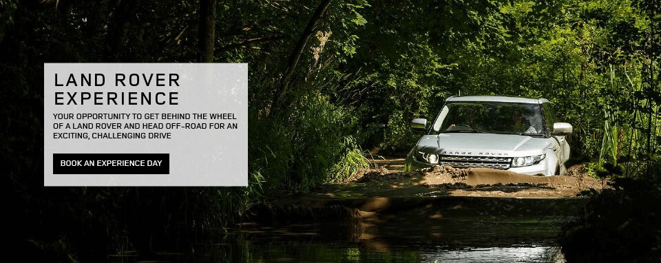 LR Experience Header 1.png