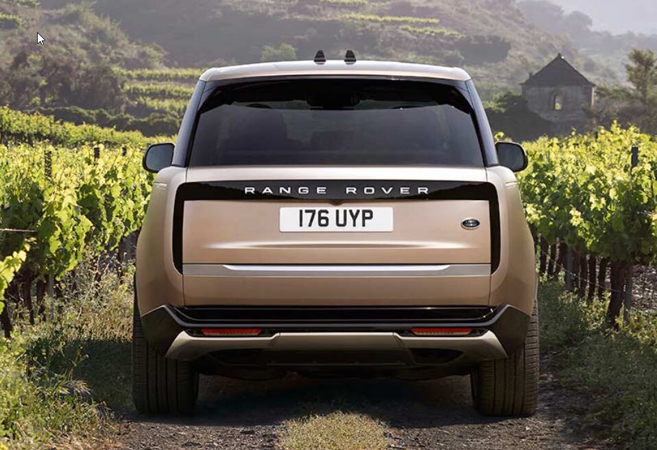 lr29.jpg