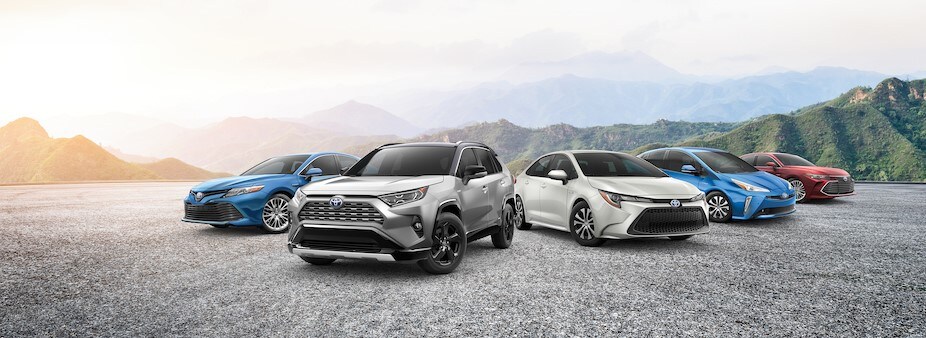 2020 Toyota Lineup