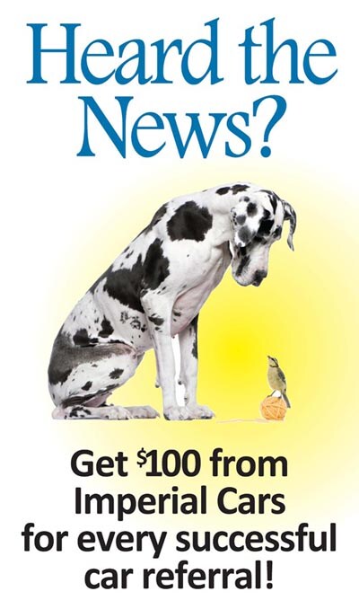 BirdDogGFX.jpg