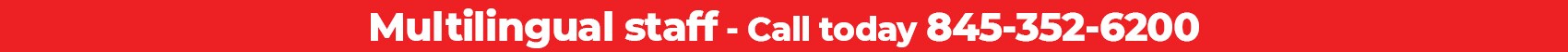 Interstate Toyota - Multi-lingual banner 1700x50 June 2022.jpg