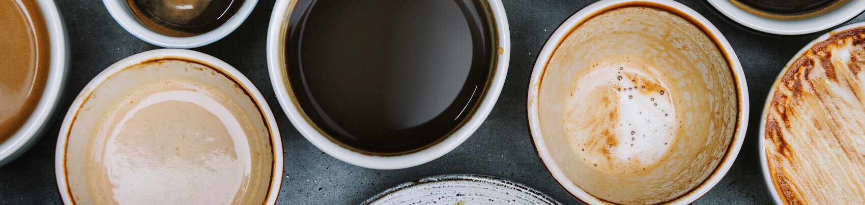 Community Spotlight: Fortissimo Coffeehouse