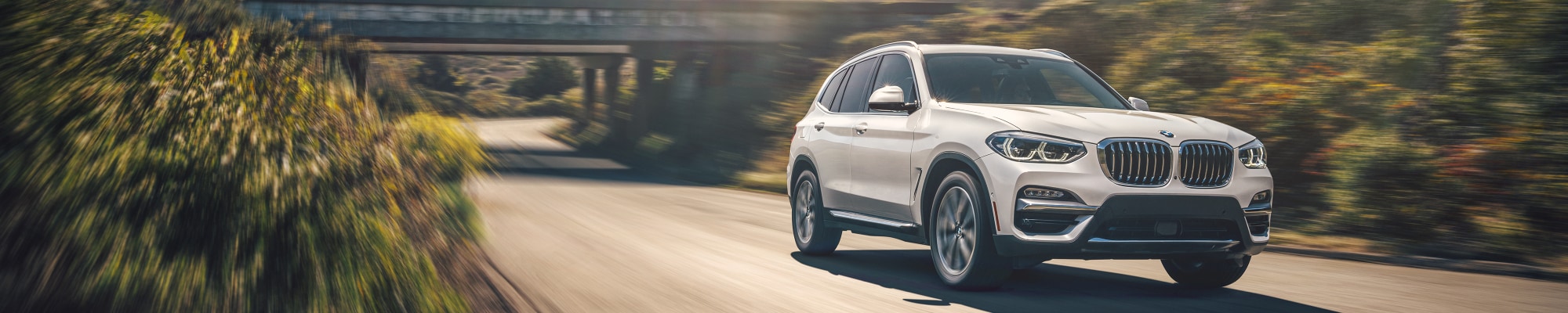 2021-BMW-X3-xDrive30i-WheelAddOn-SUV-L05 (1).jpg