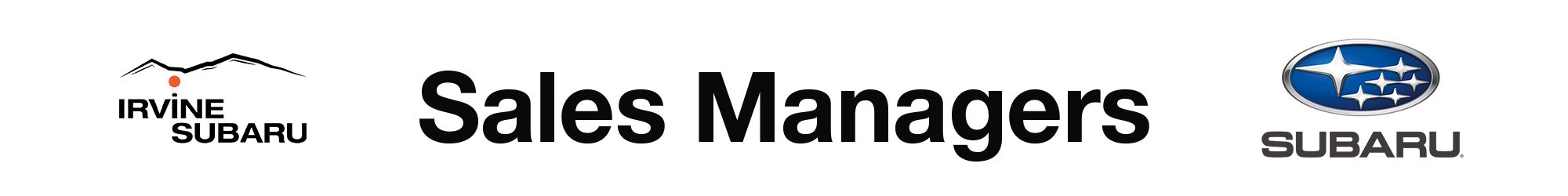 Sales Managers Banner