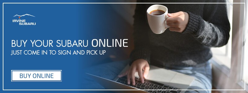 Buy Online