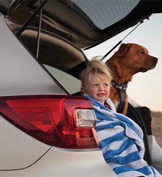 subaru.png