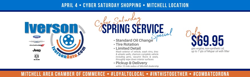 Copy of Cyber Saturday - Spring Special (1).png