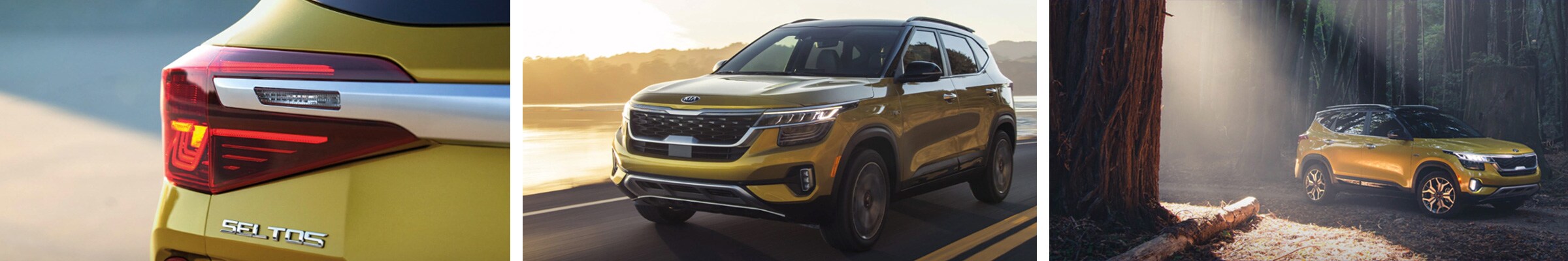 New Kia Seltos Coming Soon | Fair Lawn, NJ