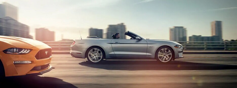 The 2019 Ford Mustang available at Jack Demmer Ford near Livonia, MI