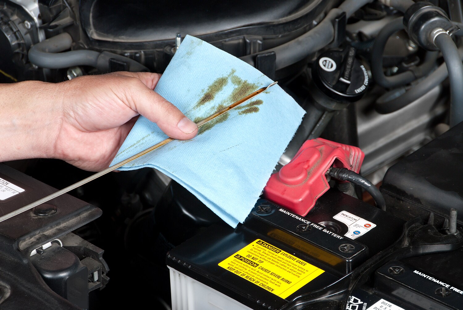 Benefits of Changing Your Hyundai's Oil at Jack Giambalvo Hyundai in East York | Hyundai service technician checking oil in a Hyundai vehicle