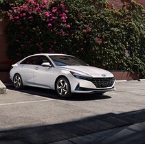 The 2021 Hyundai Elantra vs. The 2021 Hyundai Sonata at Jack Giambalvo Hyundai | Elantra parked by bushes