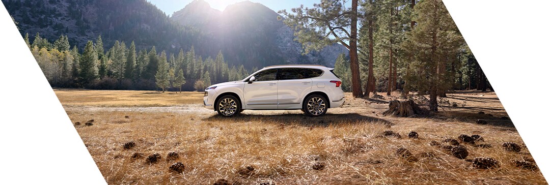 The 2022 Hyundai Tucson vs. The 2022 Hyundai Santa Fe at Jack Giambalvo Hyundai | Santa Fe parked in feild by mountains