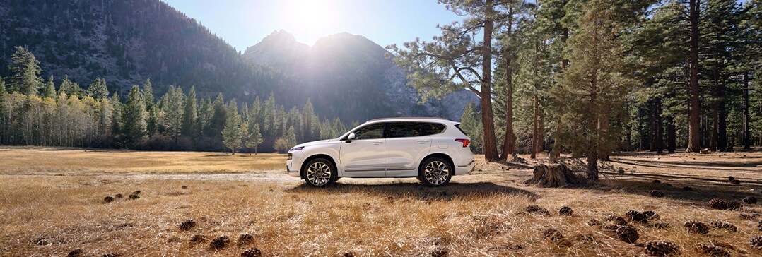 Model Features of the 2022 Hyundai Santa Fe at Jack Giambalvo Hyundai | Santa Fe parked in forest clearing