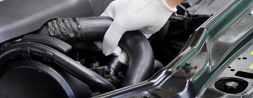 How to prepare your Hyundai for the winter season in York, PA at Jack Giambalvo Hyundai | Mechanic with white gloves is grabbing radiator hose