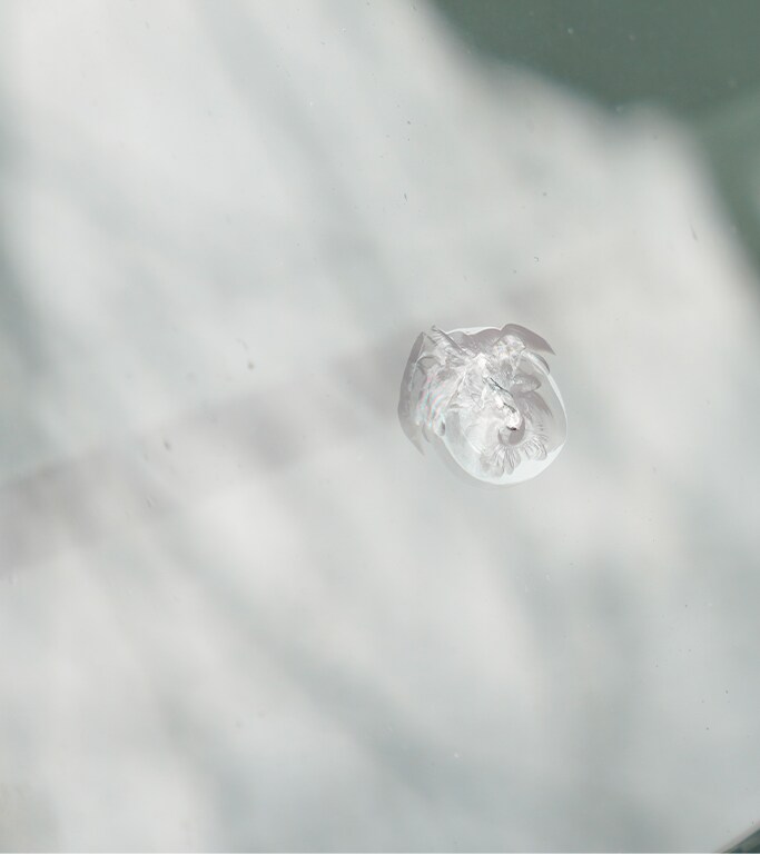 Why You Shouldn’t Drive Around with a Chipped Windshield at Jack Giambalvo Hyundai in York, PA | Small Chipped windshield on front car windshield