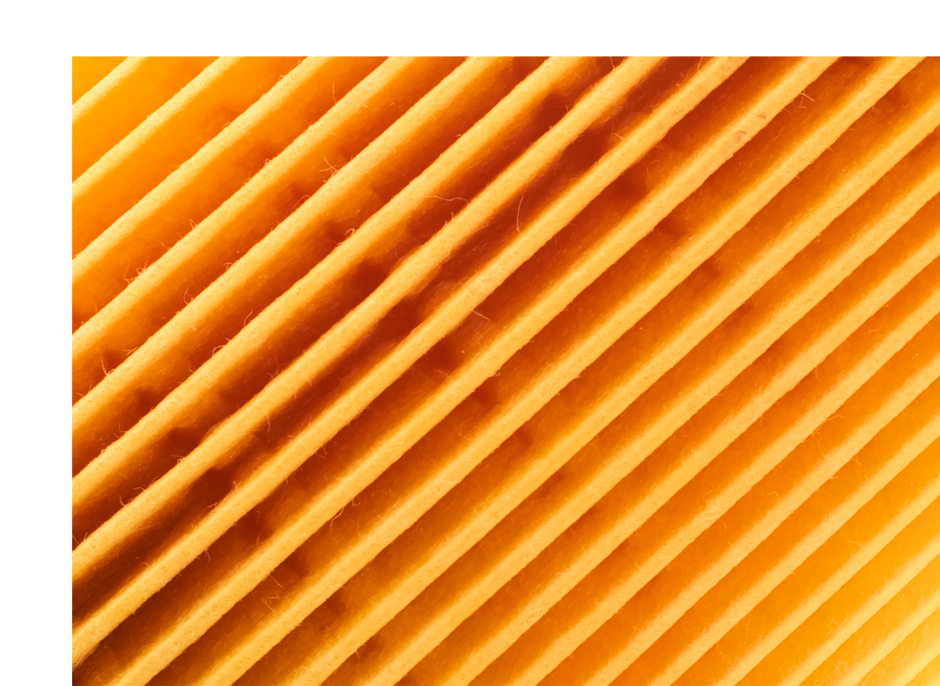 Cabin air filter replacement at Jack Giambalvo Hyundai | Close up detail of a cabin air filter