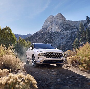 The 2022 Hyundai Tucson vs. The 2022 Hyundai Santa Fe at Jack Giambalvo Hyundai | Santa Fe driving through dense woods on dirt road