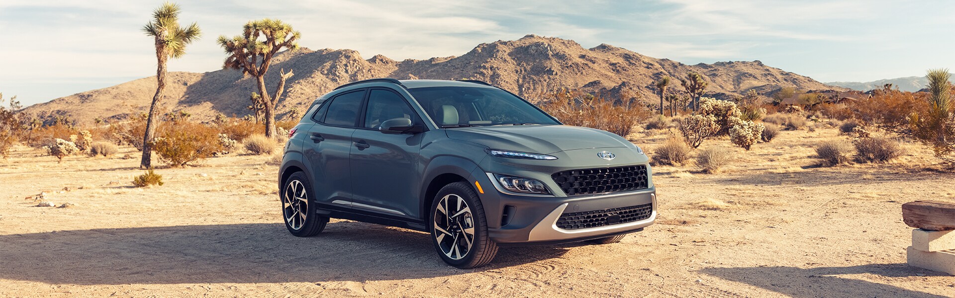 Performance features of the 2022 Kona N-Line at Jack Giambalvo Hyundai of York | 2022 Hyundai Kona N-Line Parked in Desert