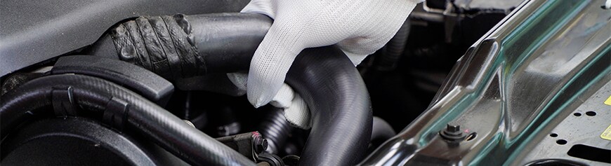 How to prepare your Mazda for the winter season in York, PA at Jack Giambalvo Mazda | Mechanic with white gloves is grabbing the radiator hose