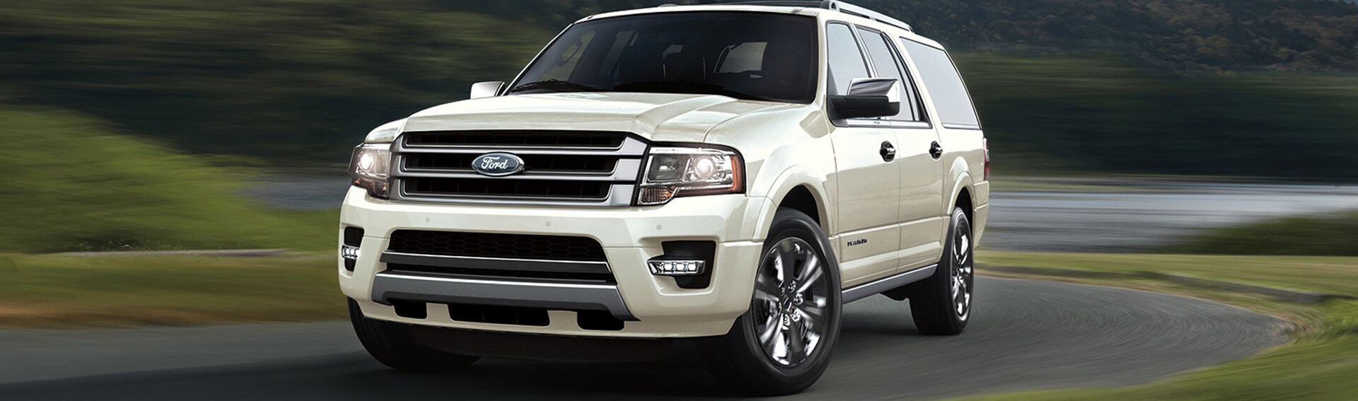 2017 Ford Expedition in Mineral Wells