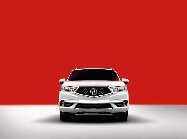 mdx 22.JPG