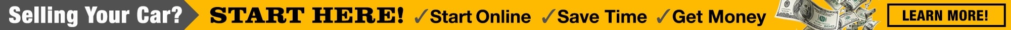 yellowbanner.jpg