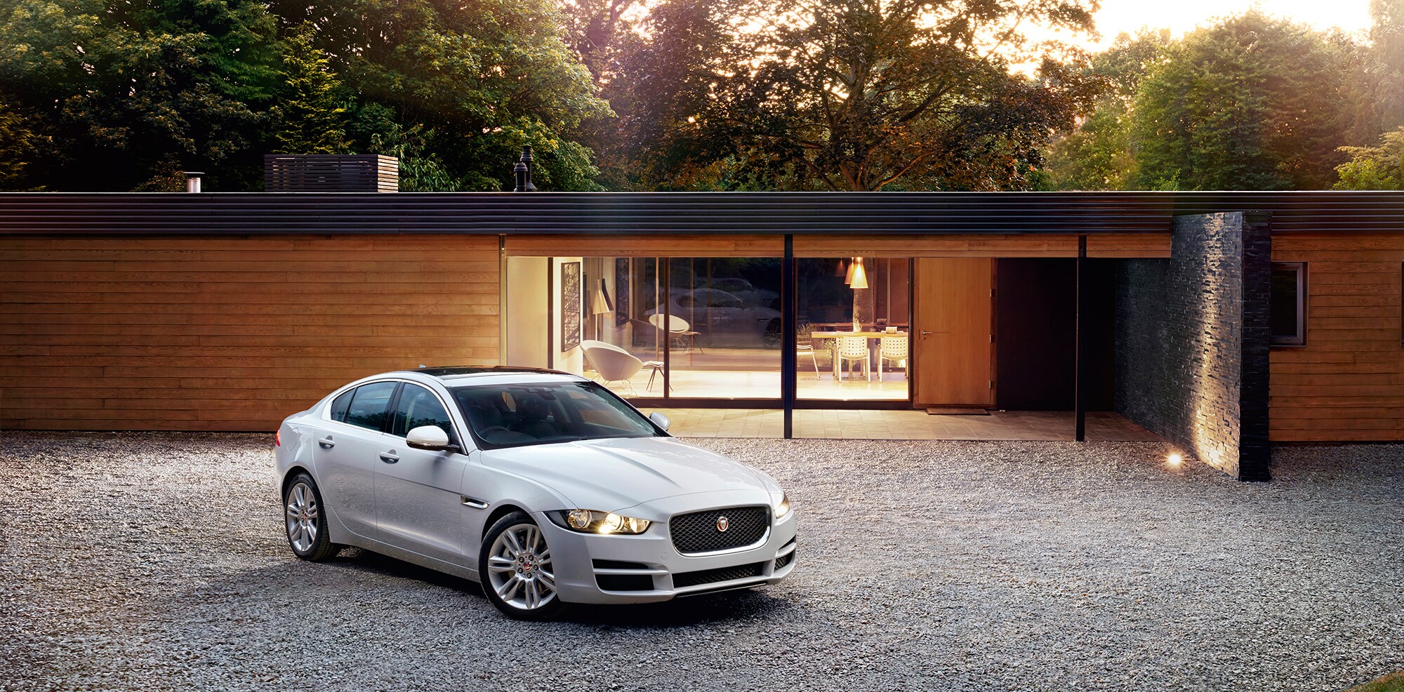 Jaguar-Image-1.jpg