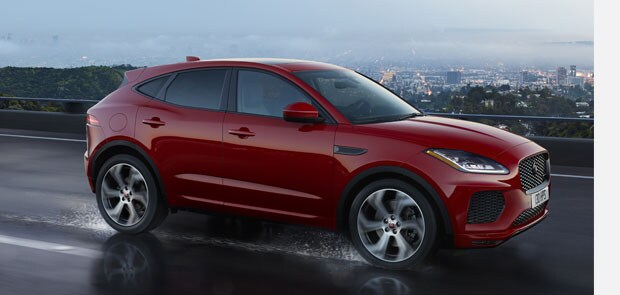 Jaguar EliteCare