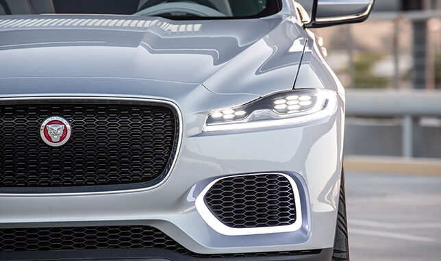 JAGUAR_CX17_1.jpg