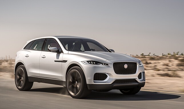 JAGUAR_CX17_2.jpg