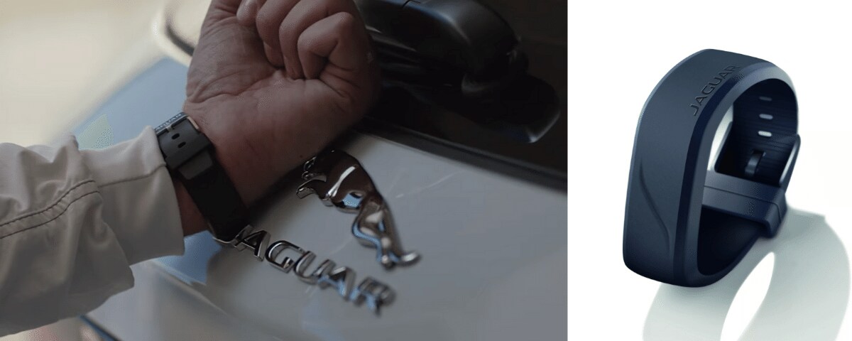 Jaguar Activity Key Jaguar Activity Key